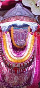 Dadi Vandan Mahotsav 2026 — First Annual Utsav