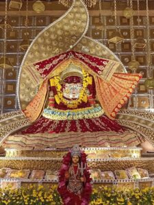 Dadi Vandan Mahotsav 2026 — First Annual Utsav